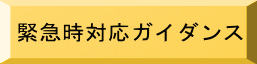 緊急時対応ガイダンス 