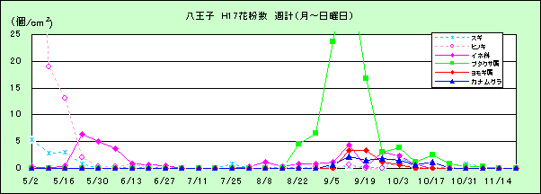 平成17年夏から秋の花粉：八王子の花粉飛散状況