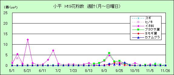 平成19年夏から秋の花粉：小平の花粉飛散状況