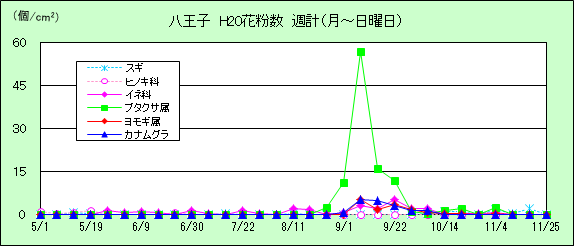 平成20年夏から秋の花粉：八王子の花粉飛散状況