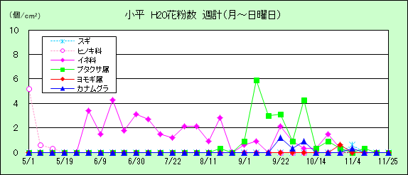 平成20年夏から秋の花粉：小平の花粉飛散状況