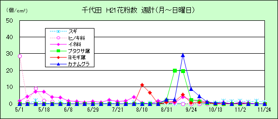 平成21年夏から秋の花粉：千代田の花粉飛散状況