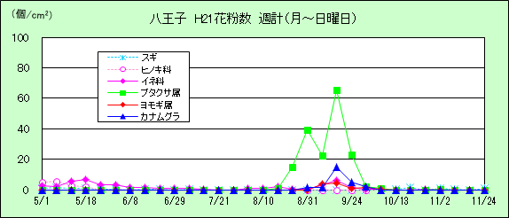 平成21年夏から秋の花粉：八王子の花粉飛散状況