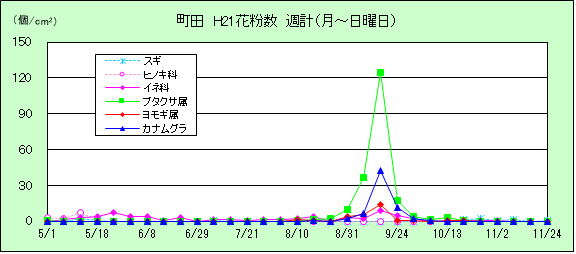 平成21年夏から秋の花粉：町田の花粉飛散状況