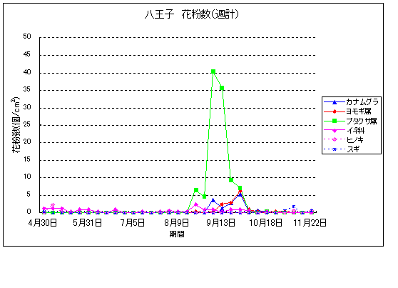 平成22年夏から秋の花粉：八王子の花粉飛散状況