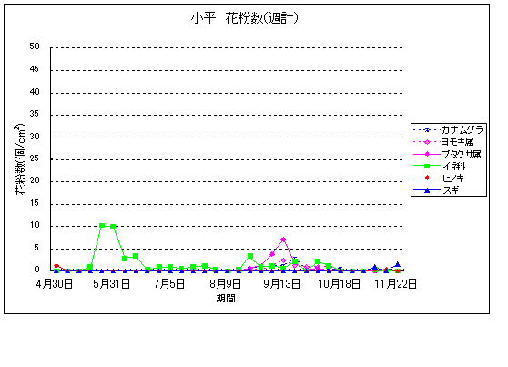 平成22年夏から秋の花粉：小平の花粉飛散状況