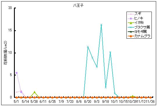 平成24年夏から秋の花粉：八王子の花粉飛散状況