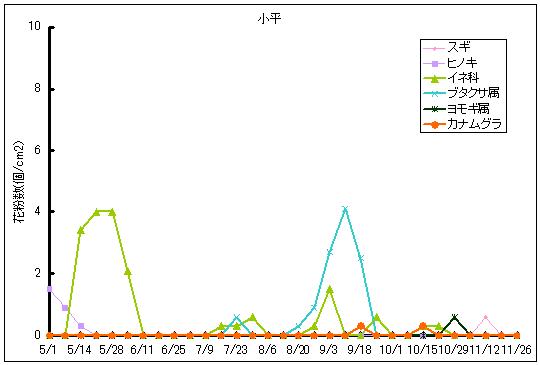 平成24年夏から秋の花粉：小平の花粉飛散状況