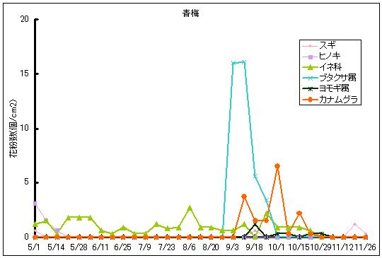 平成24年夏から秋の花粉：青梅の花粉飛散状況