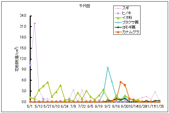 平成25年夏から秋の花粉：千代田の花粉飛散状況