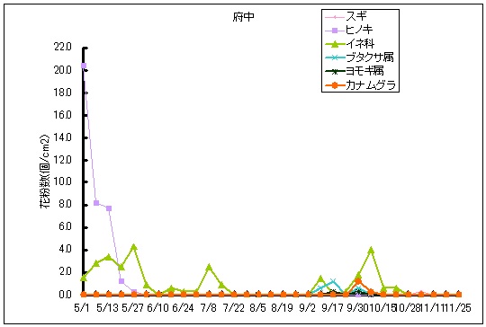 平成25年夏から秋の花粉：府中の花粉飛散状況