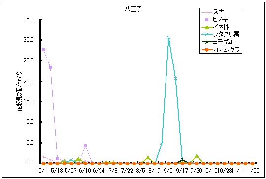 平成25年夏から秋の花粉：八王子の花粉飛散状況
