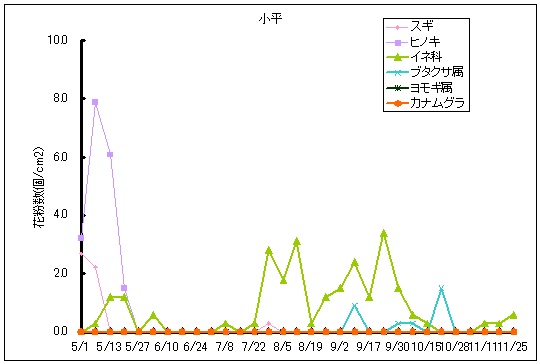 平成25年夏から秋の花粉：小平の花粉飛散状況