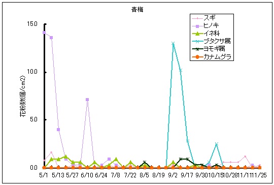 平成25年夏から秋の花粉：青梅の花粉飛散状況