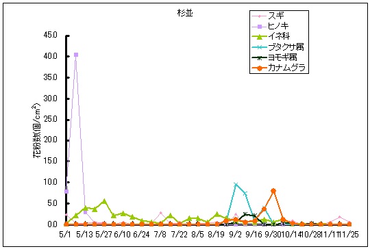 平成25年夏から秋の花粉：杉並の花粉飛散状況