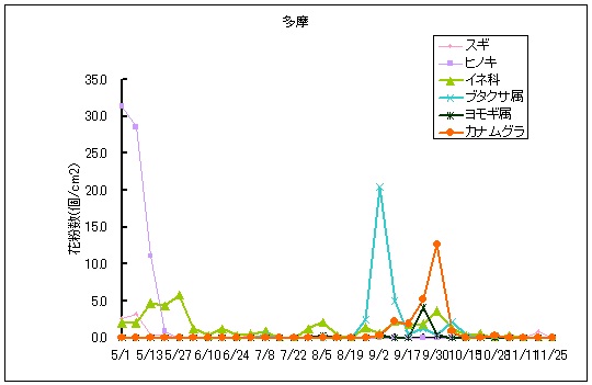 平成25年夏から秋の花粉：多摩の花粉飛散状況