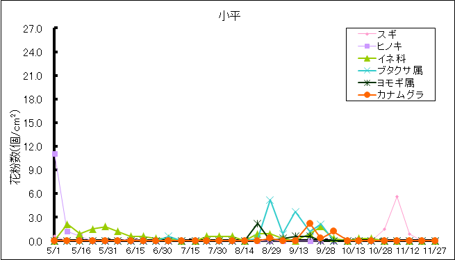 平成29年夏から秋の花粉：小平の花粉飛散状況