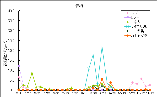 平成29年夏から秋の花粉：青梅の花粉飛散状況