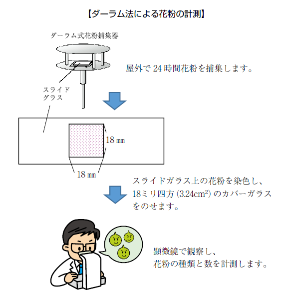 画像：ダーラム法による花粉の計測