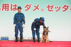 写真　薬物捜索犬のデモンストレーション