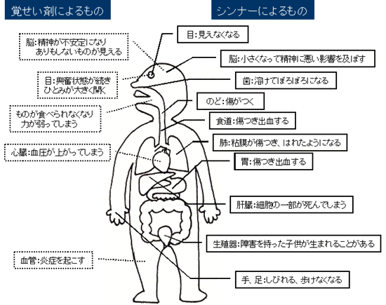 図　シンナーや覚せい剤による体への影響を表した図