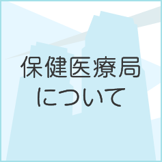 保健医療局について