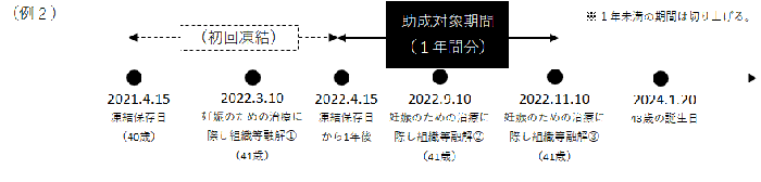 助成対象期間の例2