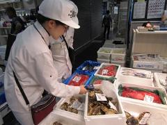 冷蔵庫内のマグロの品温を測定する監視員