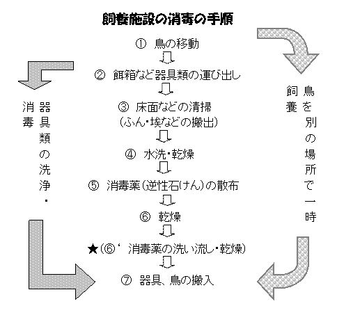 飼養施設の消毒手順