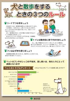 犬と散歩をするとき3つのルール