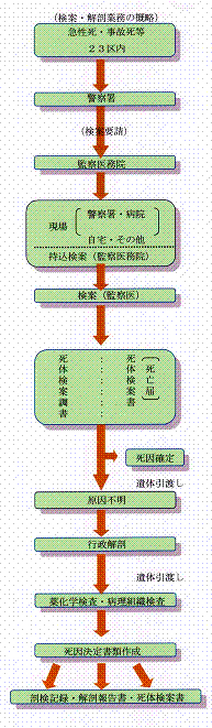 図　検案・解剖業務の概略図