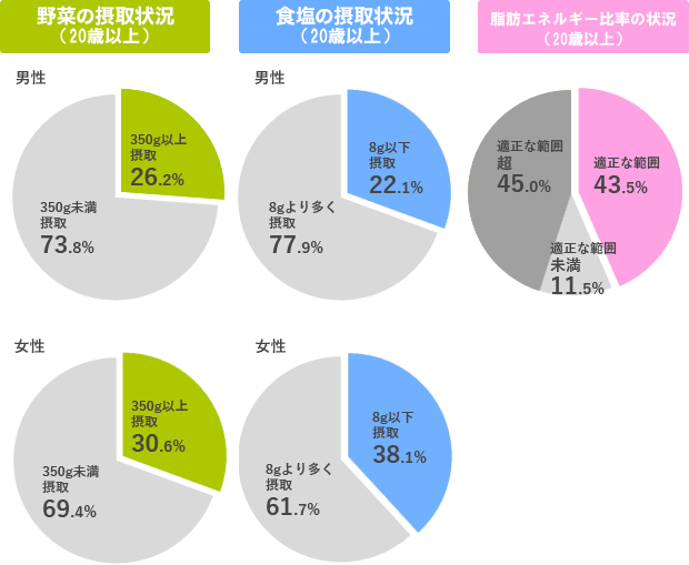 野菜の摂取状況グラフ