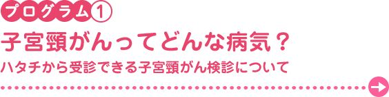 プログラム1　子宮頸がんってどんな病気？ハタチから受診できる子宮頸がん検診について