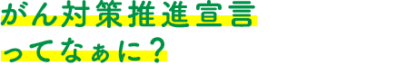 がん対策推進宣言ってなぁに？