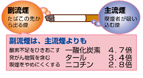 副流煙は、主流煙よりも有害物質が多い