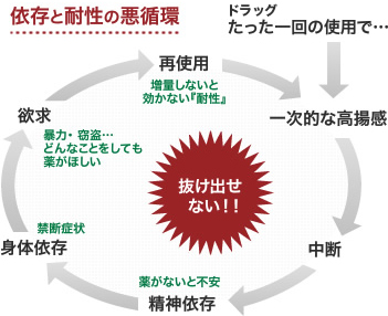 依存と耐性の悪循環