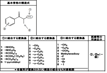 包括指定