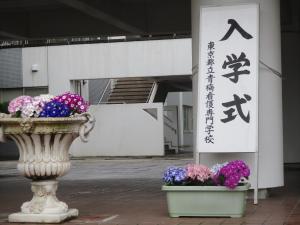 入学式看板