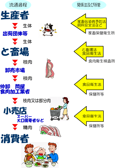 生産者からと畜場、食肉市場、食肉加工者、小売店の各段階で、家畜伝染病予防法、と畜場法、食品衛生法などの法律が関係しています。