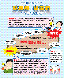 表 画像　ご存知ですか？糖尿病と歯周病　その密接な関係　リーフレット