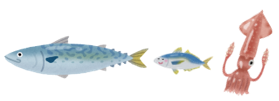 魚・イカ　イラスト