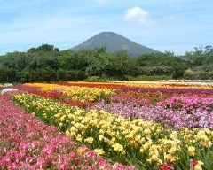 八丈島の風景