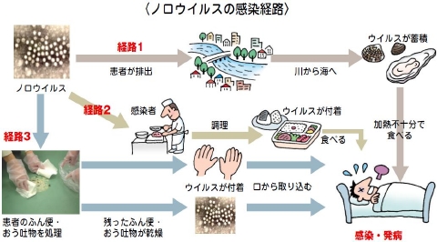 ノロウイルスの感染経路