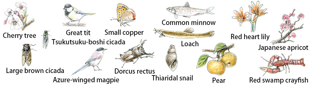 Creatures and plants who meet during walking